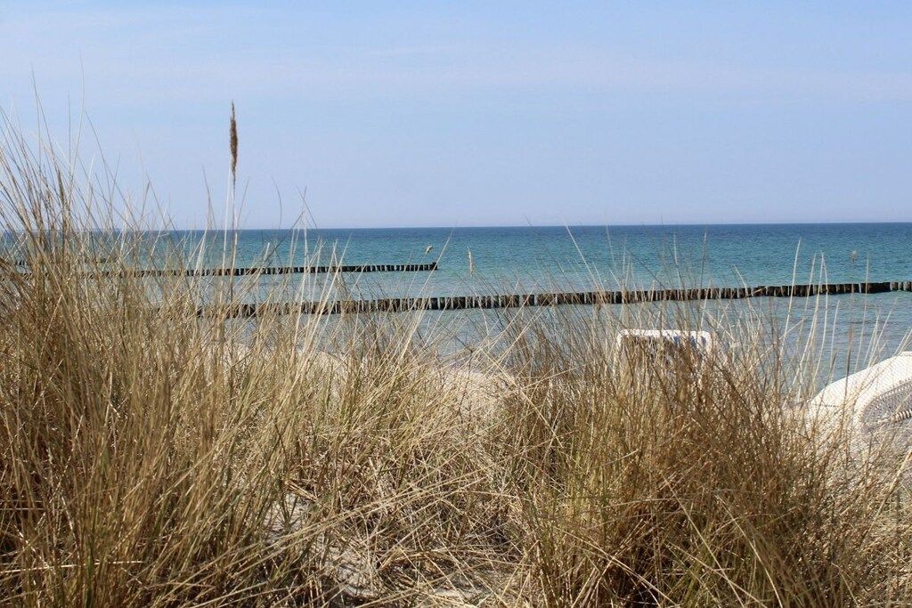 A beach with tall grasses in the foreground and a wooden pier extending into the water.