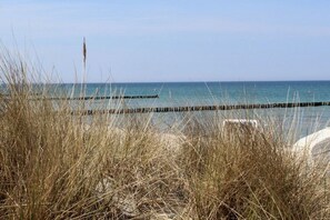 Ein Strand mit hohem Gras im Vordergrund und einem hölzernen Steg, der sich ins Wasser erstreckt.