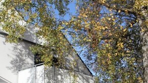 Exterior - Holiday apartment with 1 bedroom (Zingst)