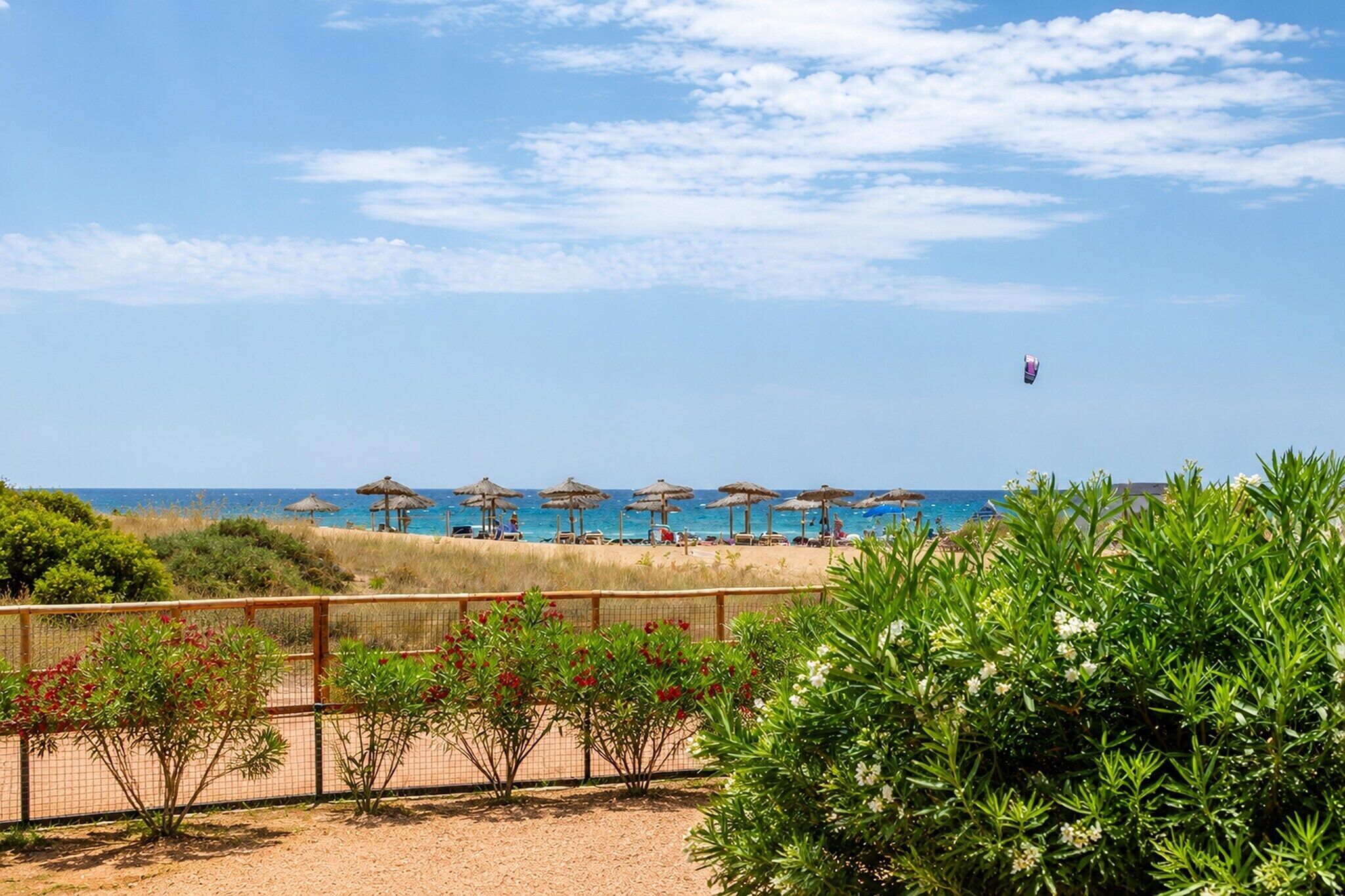 Une plage avec des parasols, une clôture et de la végétation.