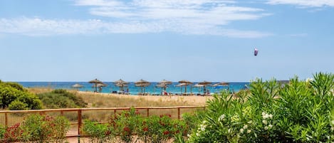 Una playa con sombrillas, una valla y follaje.