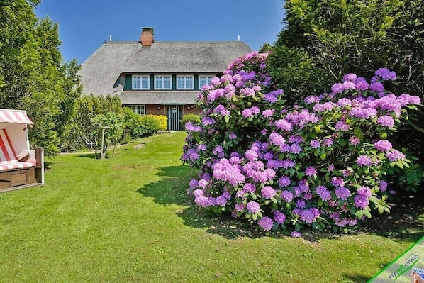 Exterior - Country house North Sea (Keitum)