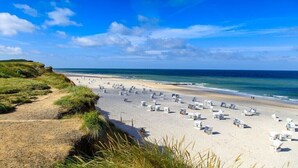 Uma praia com fileiras de cadeiras e guarda-sóis brancos, céu claro e uma área gramada em direção à água.