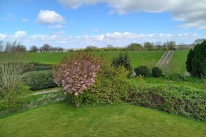 A well-maintained garden with a variety of shrubs and a clear sky.