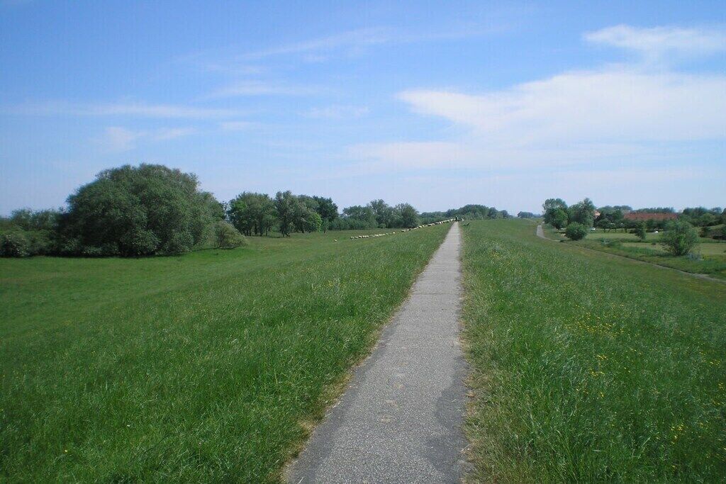 Caminho pavimentado e reto em um campo gramado, com árvores de ambos os lados.