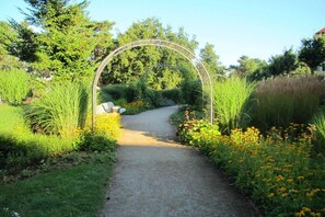 Ein Kiesweg führt durch einen Garten mit einem Metallbogen, umgeben von verschiedenen Pflanzen und Bäumen.