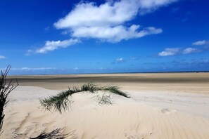 Eine Wüstenlandschaft mit Sanddünen und vereinzelter Vegetation.