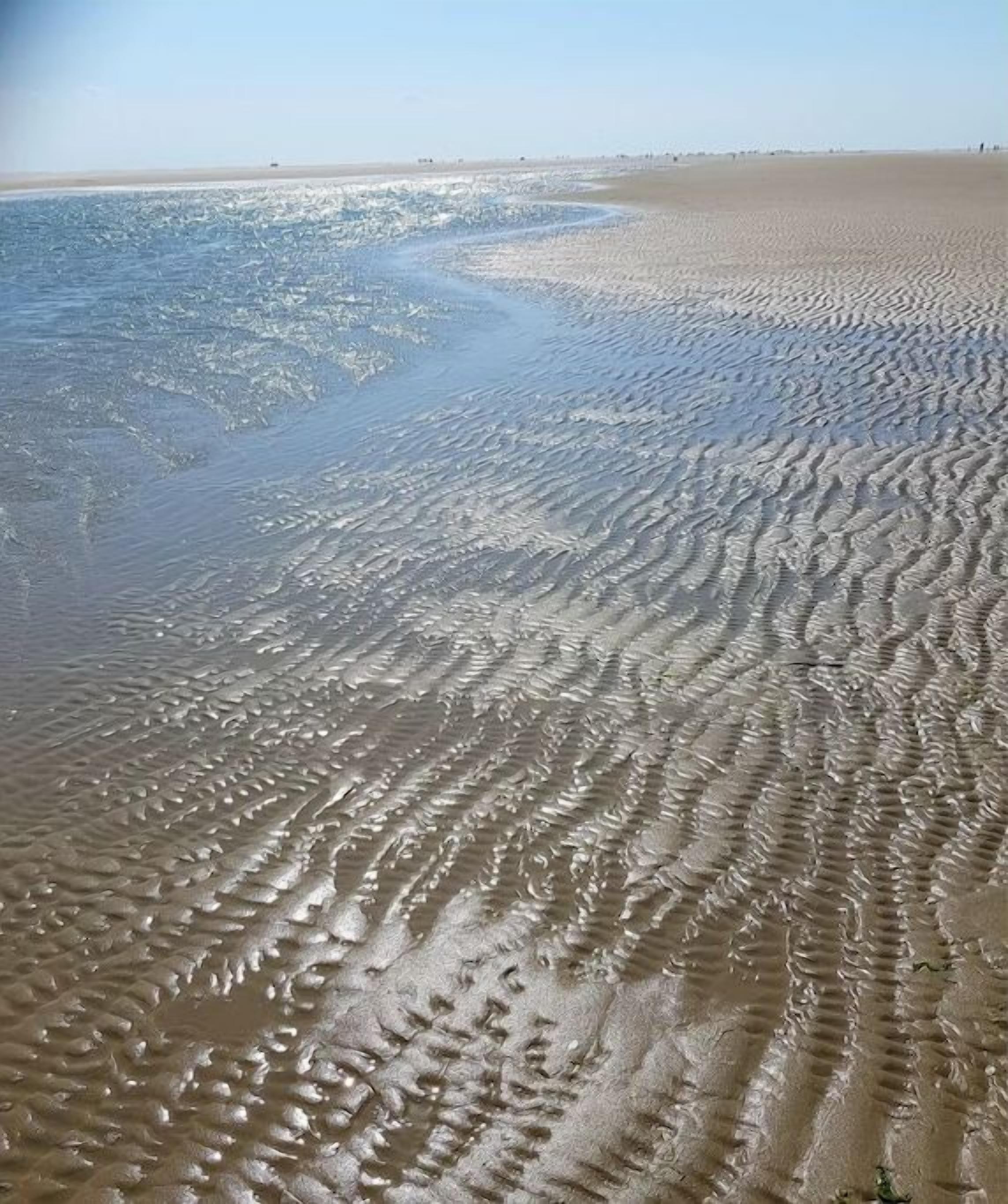 En strand med våta sandmönster som visar att det nyligen varit tidvatten eller annan vattenaktivitet.