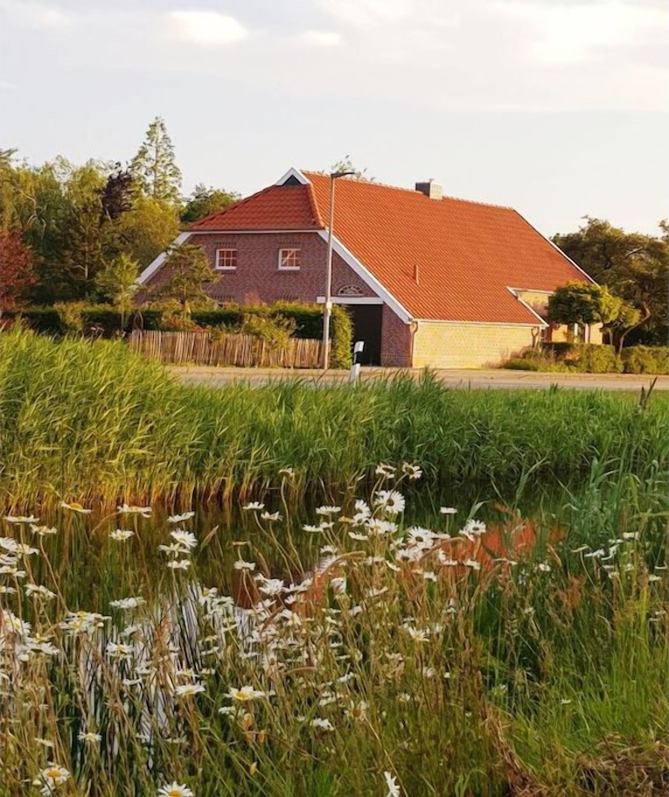 A house with a red roof and a brick facade, surrounded by a grassy field with wildflowers.