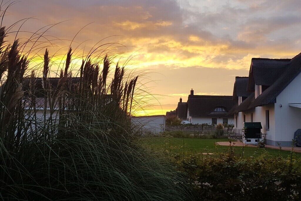 A residential area with houses, a grassy lawn, and a sunset in the background.