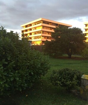 Esterni