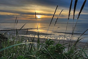 A coastal landscape with a sunset, vegetation, and a calm sea. - Holiday apartment with 2 bedrooms (Norderney)
