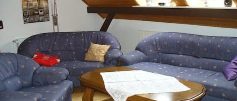 A living room with two blue sofas, a wooden coffee table, and a skylight above.