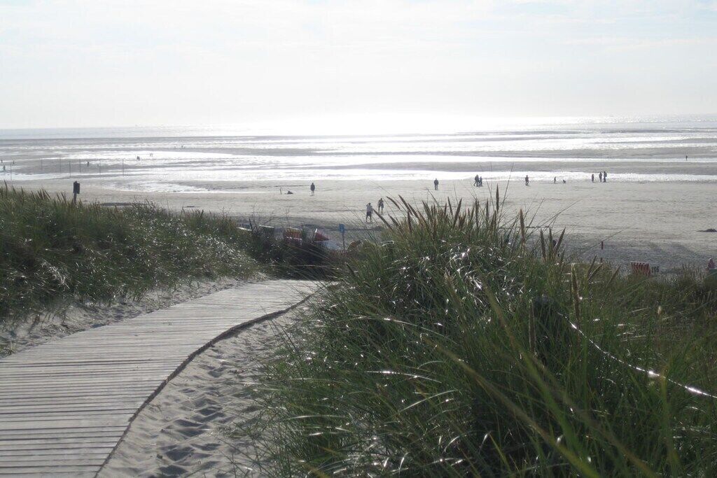 A beach with a wooden boardwalk leading to the water, surrounded by grass.