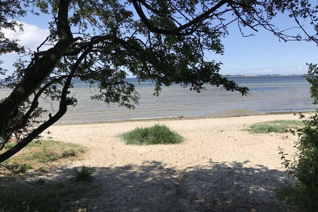 A sandy beach with a tree in the foreground and a calm body of water in the background.