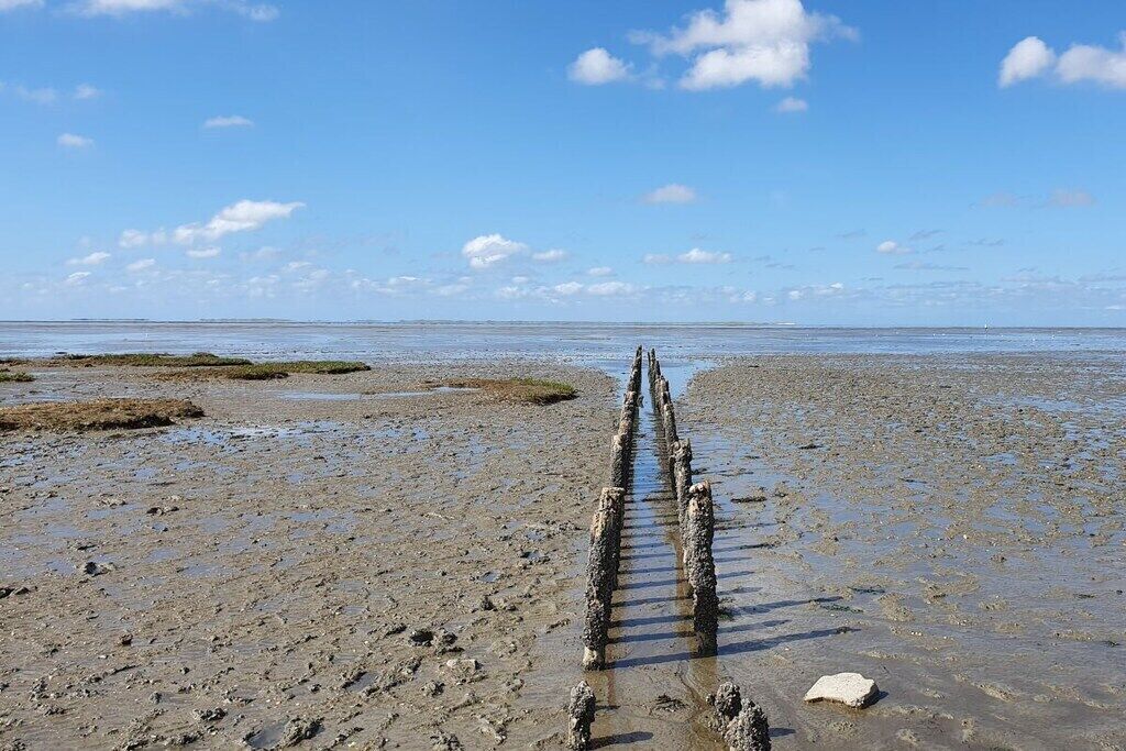 Une plage avec une promenade en bois qui mène à l’eau.