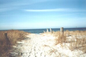 A sandy beach path with wooden posts, leading to the ocean. - Thatched-roof house on Hiddensee (Seebad Hiddensee)