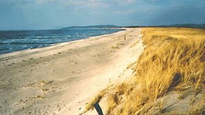 Unclassified image, 2 of 12, button - Thatched-roof house on Hiddensee (Seebad Hiddensee)