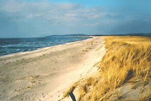 Beach - Thatched-roof house on Hiddensee (Seebad Hiddensee)
