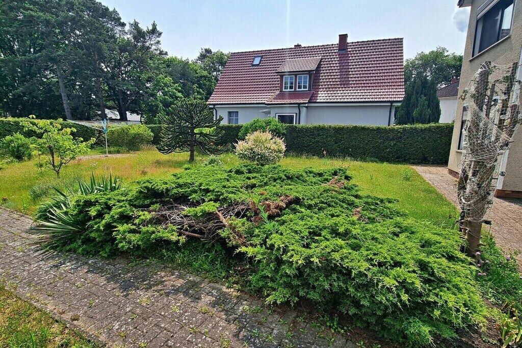 A residential area with a house, a paved driveway, and a well-maintained lawn.