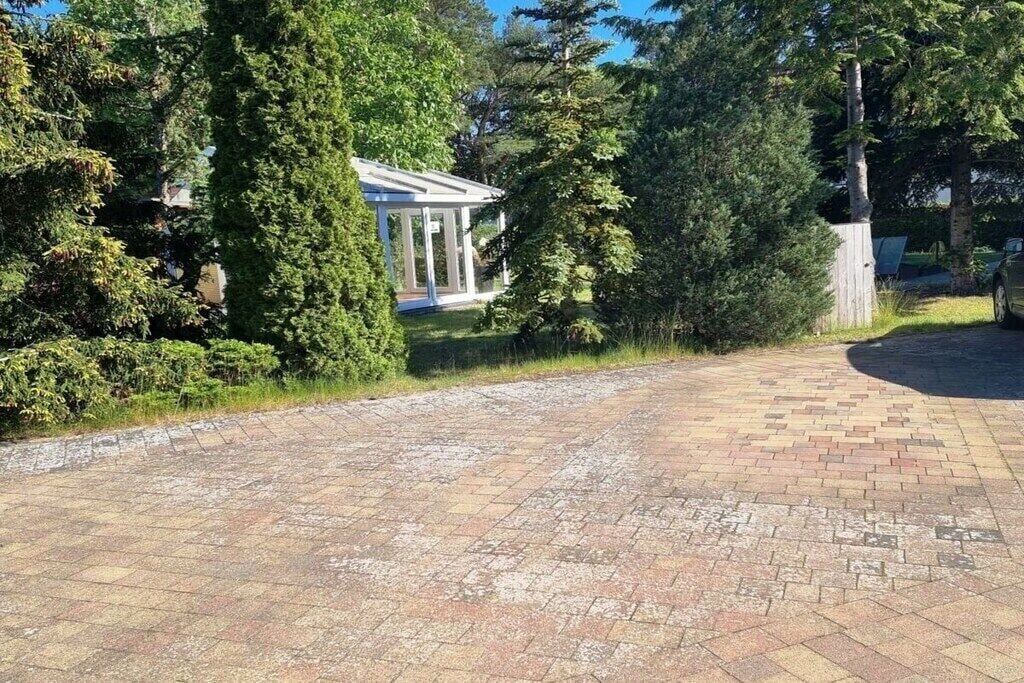A paved driveway leading to a building with a covered porch, surrounded by dense greenery.