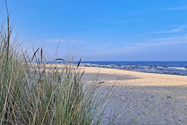 Una spiaggia sabbiosa con onde e erba sullo sfondo.