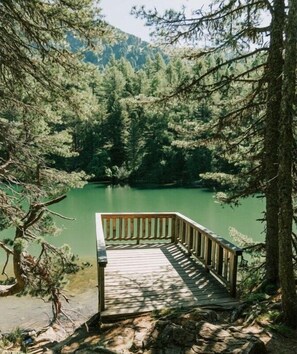 Untagged - Superior Chalet # 21 with Sauna & Hot Tub (Turrach)