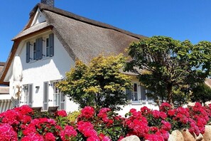 Exterior - Thatched house "Alana" (Zierow)