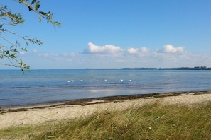Une plage avec un ciel dégagé, une eau calme et une terre visible au loin.