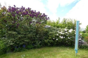Un jardí amb arbustos i flors diverses, incloent flors morades i blanques.