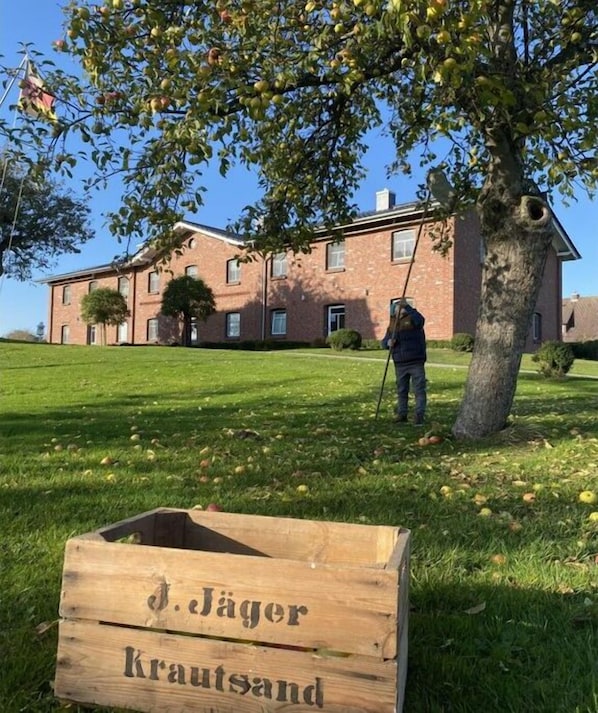 Nicht klassifiziertes Bild, 1 von 24, Schaltfläche