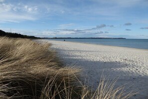 Ein Strand mit Sand und Gras, ein klarer Himmel und eine ferne Küste.