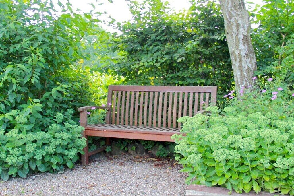 A wooden bench in a garden with dense foliage and a tree trunk.