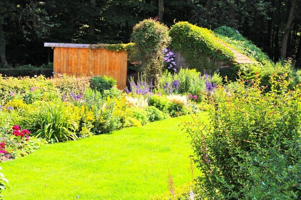 A garden with a wooden structure, various plants, and a grassy area.