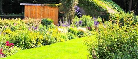 A garden with a wooden structure, various plants, and a grassy area.