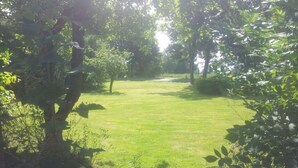Eine begrünte Grünfläche mit Bäumen und Sträuchern, vermutlich ein Garten oder Park.
