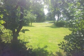 A grassy outdoor area with trees and shrubs, likely a garden or park. - Wattenhuus Förrien 2a (Minsen - Förrien)