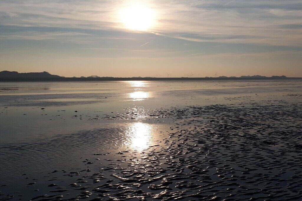 Une plage avec une mer calme, un ciel dégagé et des éoliennes visibles au loin.