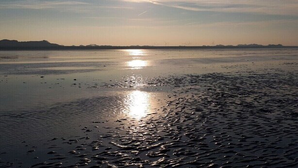 Ein Strand mit ruhiger See, blauem Himmel und in der Ferne Windkraftanlagen.