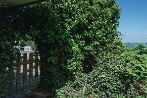A lush green hedge partially obscuring a view of a body of water. - Terrace house by the sea (Langballig)