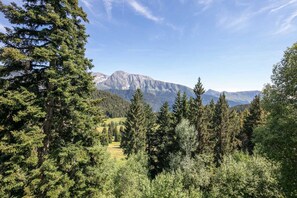A mountainous landscape with dense forest and a clear sky. - Alpine Ski Apartment in Tignes for 4 (Chamrousse)