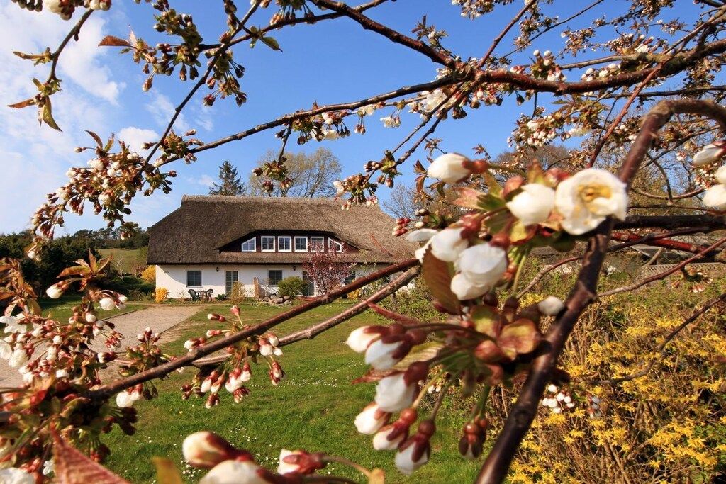 A house with a thatched roof, surrounded by a garden with flowering trees.