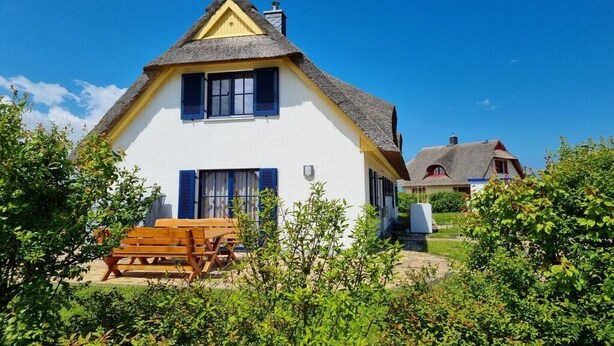 Unclassified image, 1 of 18, button - Thatched House Calappa (Zierow)