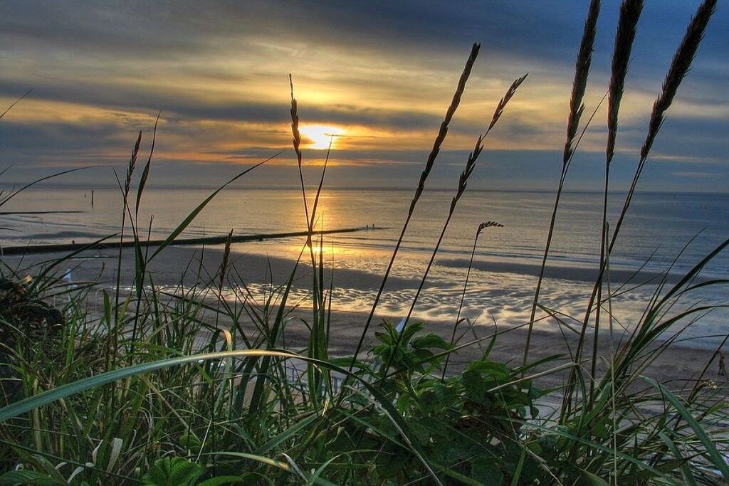 A coastal landscape with a sunset, grasses, and a distant pier.