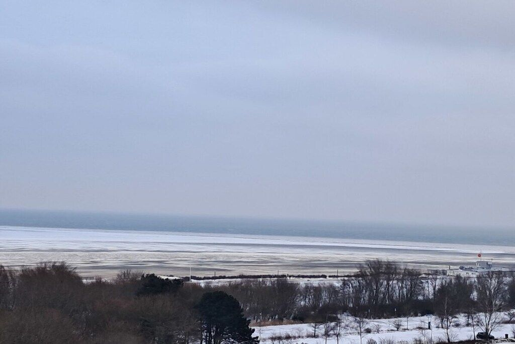 Eine Küstenlandschaft mit Gewässer, Bäumen und einem Gebäude in der Ferne.