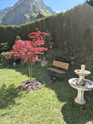 Un jardin avec un banc, un abreuvoir pour oiseaux et un arbre aux feuilles rouges.