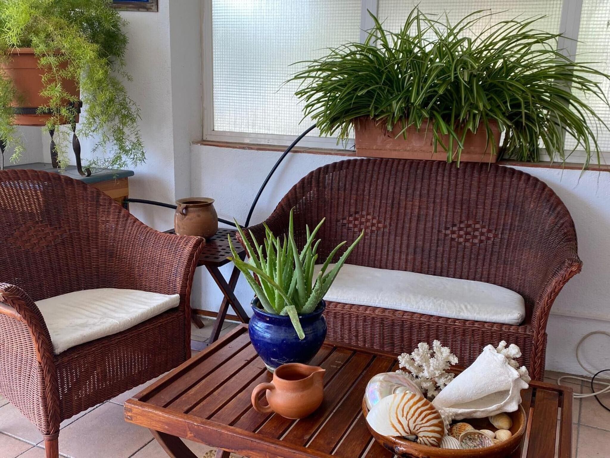 Un canapé en osier avec un coussin, un pot bleu contenant des plantes vertes, une jarre en terre cuite et un plateau avec des coquillages et un objet décoratif.