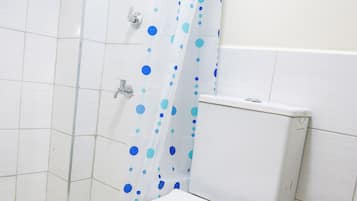 Regadera, toallas, jabón, papel de baño