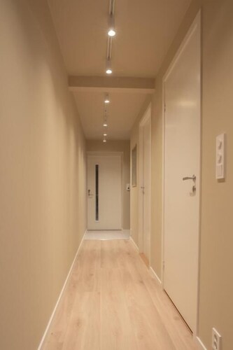 comfy and elegant apartment