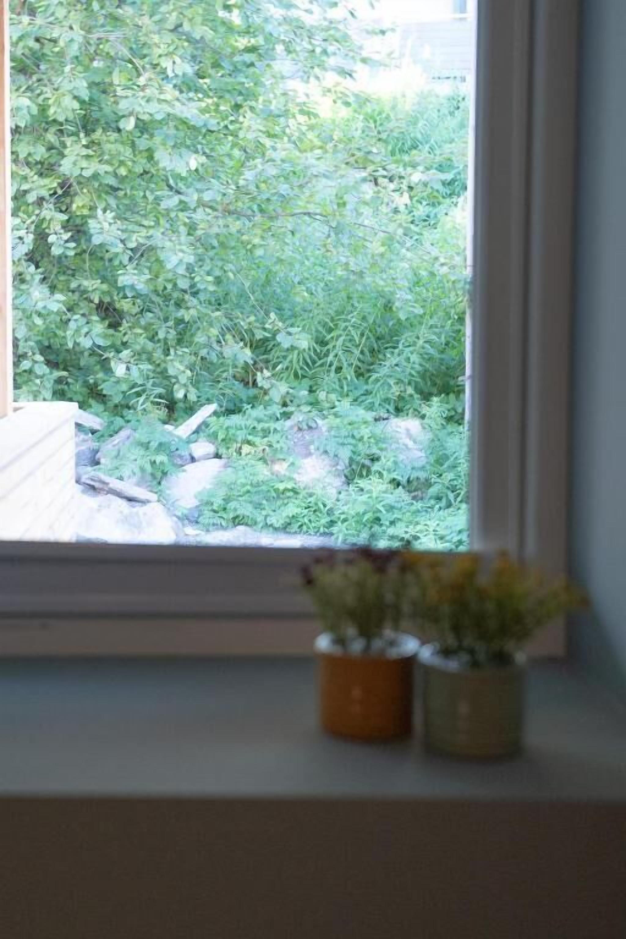 A window with a view of a garden.